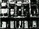Appendix / EP 1983 Original 7in Vinyl Propaganda Records PROP 015 Punk