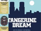 Tangerine Dream - Live at the Reims Cathedral [ Vinyl LP] Picture Disc