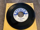 R&B 45 rpm Little Al   Little Lean Woman on Excello  VG++ promo