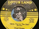 WYND CHYMES Funk Boogie REISSUE 45 Baby You're The One (Vocal Version)