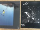 YEAH YEAH YEAHS COOL IT DOWN LP VINYL + SIGNED 12x12 PHOTOGRAPH AUTOGRAPH ART