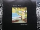 Throwing Muses – The Real Ramona Mint 1991 4AD Vinyl LP