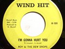 Roy & The Dew Drops - 
