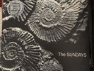 The Sundays Reading Writing and Arithmetic Vinyl Very rare Printed Picture Disc