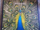 The Bluetones-Expecting To Fly Ltd Blue Vinyl 3LP Plus Demo EP Boxset