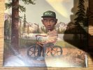 Tyler the Creator - Wolf 2LP - Limited Pink Edition