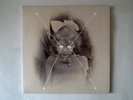 Current 93 