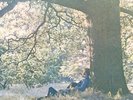 YOKO ONO / PLASTIC ONO BAND - 12