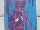 NIRVANA - SLIVER 7” SINGLE BLACK VINYL -  SUB POP RECORDS