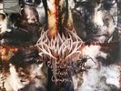 Resurrection Through Carnage by Bloodbath (LP, Silver, 2022, VILELP979, Sealed)