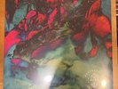 Psychedelic Porn Crumpets High Visceral Part Two Cosmic Garden Splatter Vinyl LP