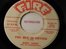 Elmo James 45 The Sky is Crying / Held My Baby Last Night /  Fire 1016
