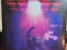 Beat The System by Petra (Record, 2022) Girder Limited Run Vinyl 2021 Purple