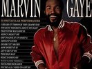 Marvin Gaye - Every Great Motown Hit Of Marvin Gaye: 15 Spect (NEW 12