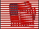Tortoise Standards Red White Color Vinyl LP