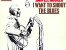 JOHN LEE HOOKER I Want To Shout The Blues Vinyl Record Album LP Stateside & 1964