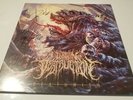 Deathwish by WITHIN DESTRUCTION Signed Autographed Red Smoke Vinyl Album