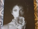 Kate Bush - Remastered in Vinyl II Vinyl 12