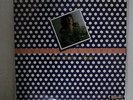 ANN BURTON SOME OTHER SPRING LOB LDC-1023 JAPAN VINYL LP