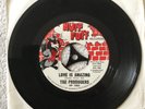 THE PRODUCERS LOVE IS AMAZING / LADY LADY LADY NORTHERN SOUL HP 1003 USA RELEASE
