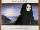 DEAD OR ALIVE Mad Bad and Dangerous To Know Korea LP Vinyl Insert 1987 KJPL-0511