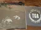 The Gaslight Anthem Bundle 10” & 7”  Hold You Up  Anywhere I Lay My Head