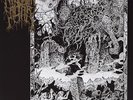 Malignant Altar Realms of Exquisite Morbidity Clear (Vinyl)