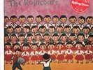 Raincoats - The Raincoats Silver Vinyl - New Vinyl Record lp - W326A