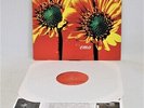 SCREECHING WEASEL ‘Emo’ 1999 Vinyl LP on Panic Button. US Issue + Insert – T14