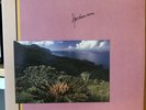 FRIEDEMANN :  Indian Summer   , 180 gr. audiophil - Biber 76300 ,  2009  mint