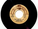 JOHNNIE TAYLOR - What About My Love / Reganomics - Vinyl 45 Beverly Glen  R 216