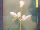 DEPECHE MODE Violations LP NEW VINYL  rare tracks import