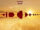 Kate Bush - Ariel (NEW 2 x 12