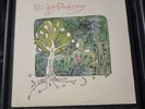 Poi Dog Pondering S/T LP (Texas Hotel 1989)