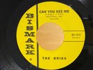 Texas Garage THE BRIKS Can You See Me / Foolish Baby BISMARK BK-1013 NM