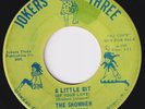 SHOWMEN A Little Bit Of Your Love RARE *FIRST ISSUE* northern soul 45 beach HEAR