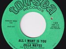 ZILLA MAYES All I Want Is You RARE M- sweet soul 45 northern soul deep LISTEN