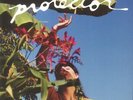 FRANCES, Aoife Nessa - Protector - Vinyl (LP)