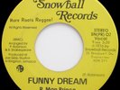 R. Man Prince FUNNY DREAM  Insanely RARE Canadian ROOTS 45 Listen