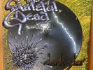 GRATEFUL  DEAD  :  DARK  STAR  -  RARE  Magazine  PROMO / PC - SAM 79 , UK 1977