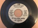 RARE SURF 45 The Sunsets PROMO Woody / Beach bunny CHALLENGE 9208 VG++