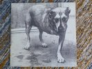 ALICE IN CHAINS SELF TITLED DOUBLE LP INNERS COLUMBIA C2 67248 US PRESS 1995 VGC
