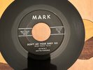 Kenny and the Kasuals Don't Let Your Baby Go RARE Garage 45 Mark Records