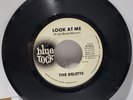 The DELETTS Look at me / What's the use 45 VINYL promo Blue Rock 1965 VG+ R&B