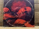 Fleetwood Mac:  Black Magic Woman   Epic Records EG 30632 Vinyl Double LP