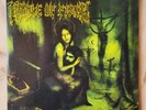 LP Cradle Of Filth- Thornography