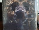 Dermot Kennedy RSD vinyl - Keep The Evenings Long 12” Vinyl