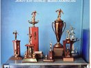Bleed American by Jimmy Eat World (Record, 2016) New Vinyl