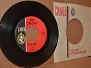 THE ORLONS: I'LL BE TRUE & HEART DARLING ANGEL; 1961 CAMEO VG++ DOO WOP DEBUT 45