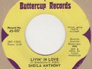 Sheila Anthony Livin In Love  Buttercup  Soul Northern Motown